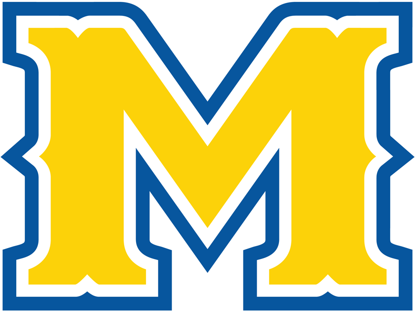 McNeese State Cowboys 2011-Pres Alternate Logo diy iron on heat transfer